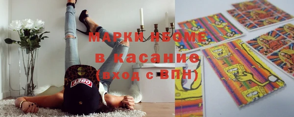 сатива Дмитровск