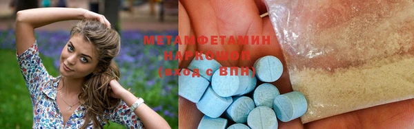 индика Дмитриев