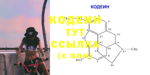индика Дмитриев