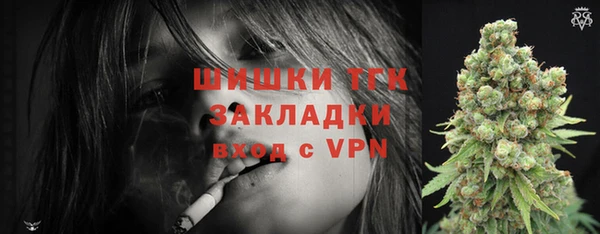 прущие грибы Дмитров