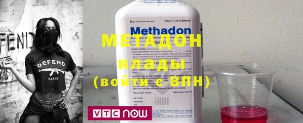 прущие грибы Дмитров