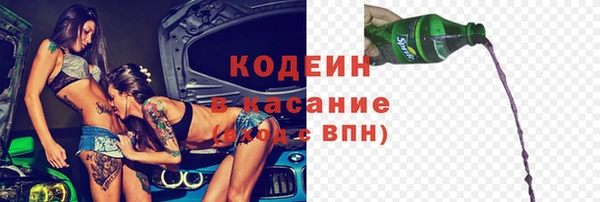 прущие грибы Дмитров
