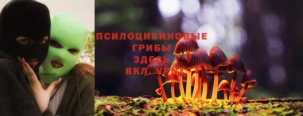 индика Дмитриев