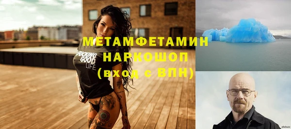 прущие грибы Дмитров