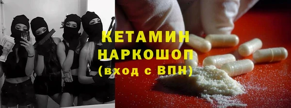 индика Дмитриев