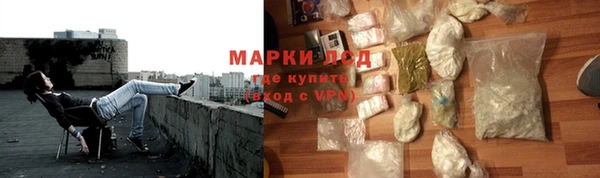 индика Дмитриев