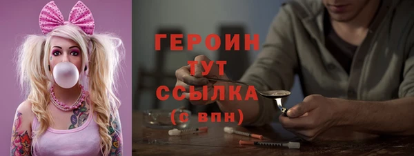 индика Дмитриев