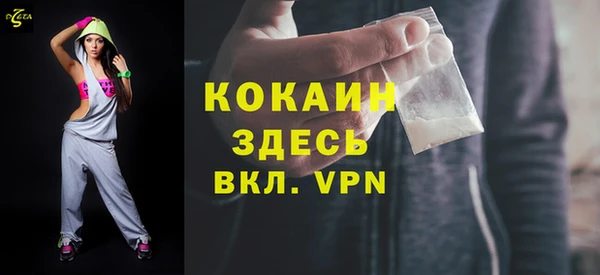 индика Дмитриев