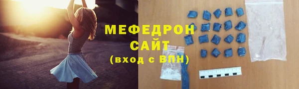 индика Дмитриев