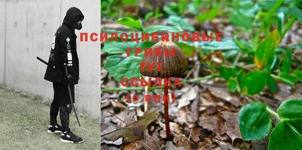 гашишное масло Осинники