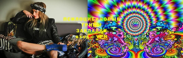сатива Дмитровск