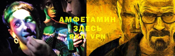сатива Дмитровск