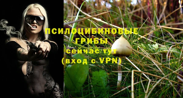 прущие грибы Дмитров