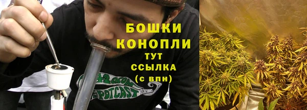 дурь Осташков