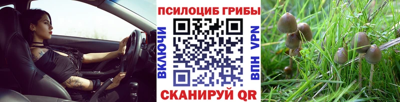 MEGA как зайти  Очёр  Галлюциногенные грибы Magic Shrooms 